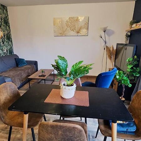 Apartmán Colmar Chaleureux 5 Mn Du Centre T2 Exteriér fotografie