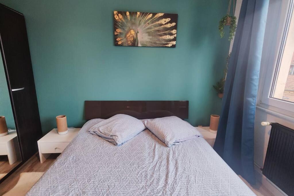 Apartmán Colmar Chaleureux 5 Mn Du Centre T2 Exteriér fotografie