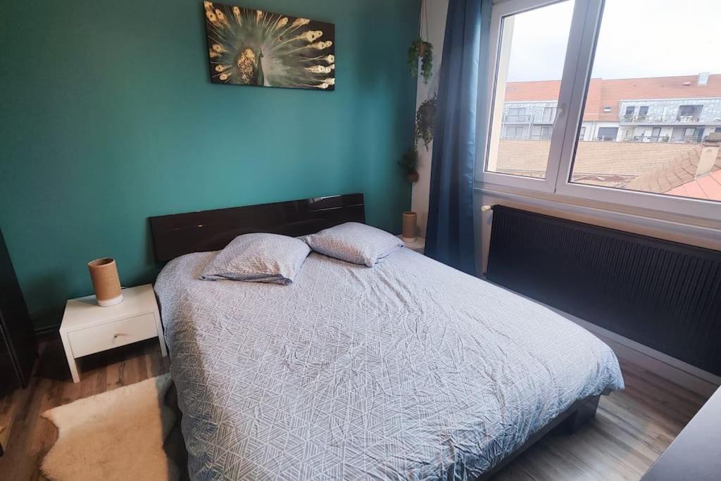Apartmán Colmar Chaleureux 5 Mn Du Centre T2 Exteriér fotografie