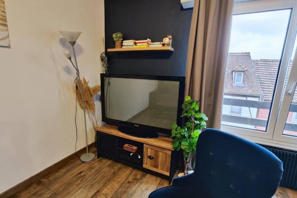 Apartmán Colmar Chaleureux 5 Mn Du Centre T2 Exteriér fotografie